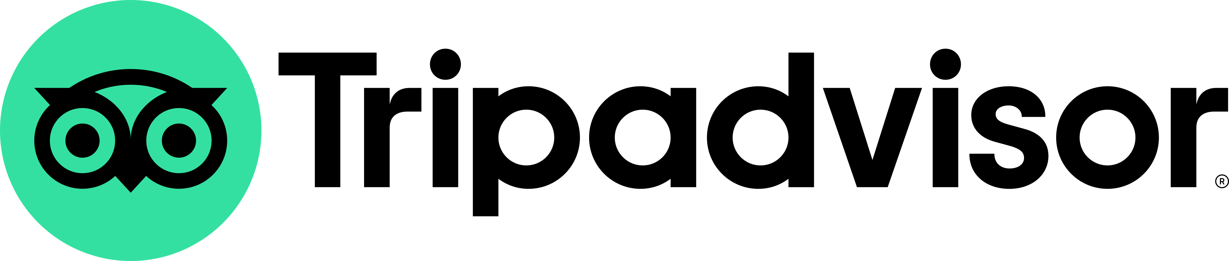 tripadvisor-logo-1